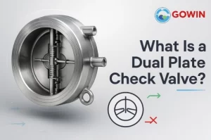 Dual plate check vavle